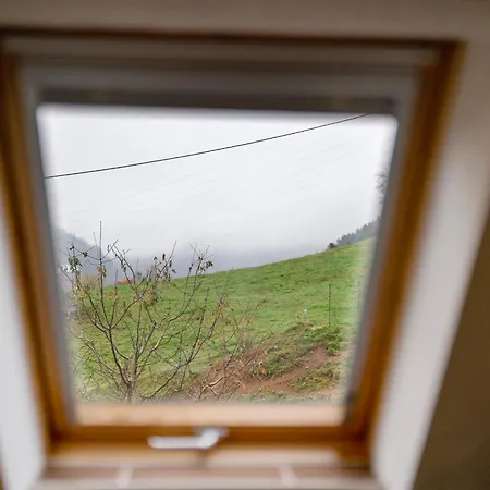 Grundhof Holiday home Oberprechtal