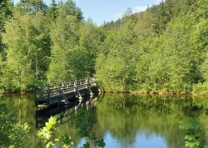 Дом отдыха Grundhof Oberprechtal