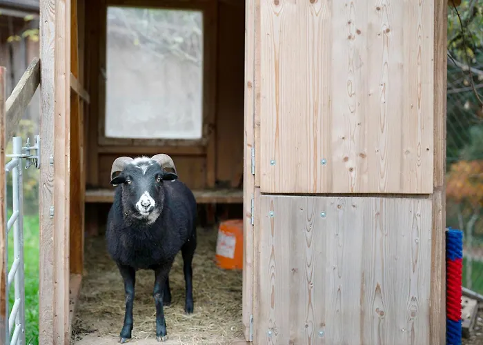 Дом отдыха Grundhof